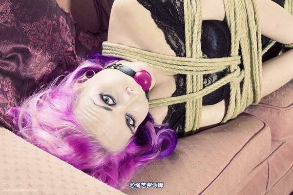 limitedaudience - 2013 assisted suicide interrupted ballet practice 第 18 张图片