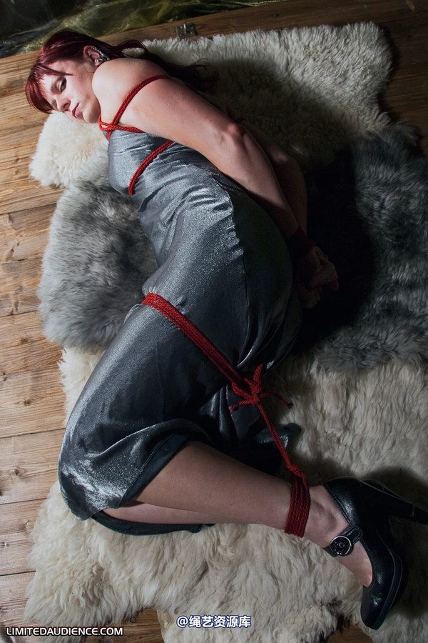limitedaudience - 2010 scarlett hogtied on rugs 第 20 张图片