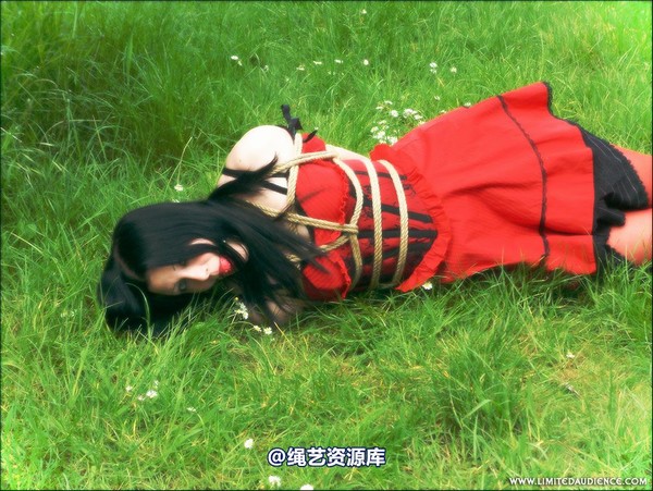 limitedaudience - 2007 asphyxia tied in red 第 25 张图片