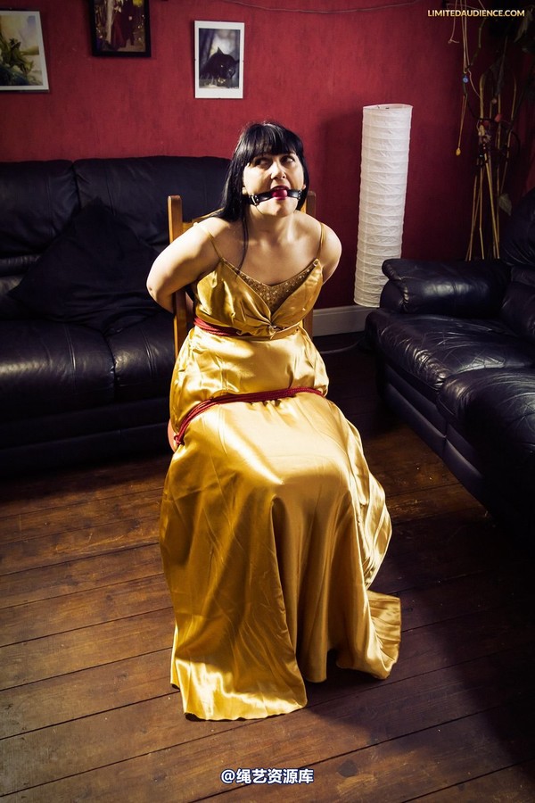 limitedaudience - 2013 dynamo golden satin 2 第 11 张图片
