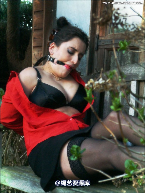 limitedaudience - 2007 jasmine de launay tied on lunch break 第 39 张图片