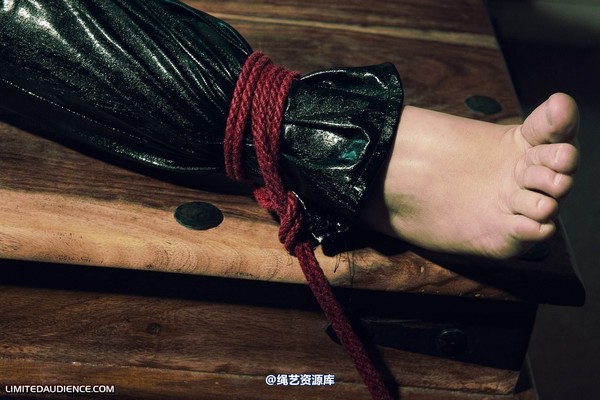 limitedaudience - 2010 sammie b devour 第 28 张图片