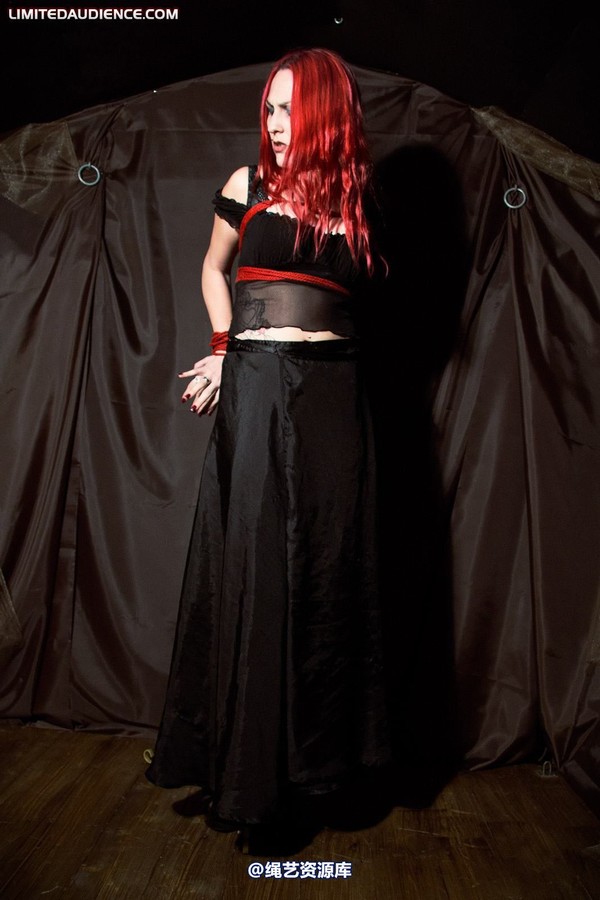limitedaudience - 2010 elyssia bound to a pole 第 4 张图片