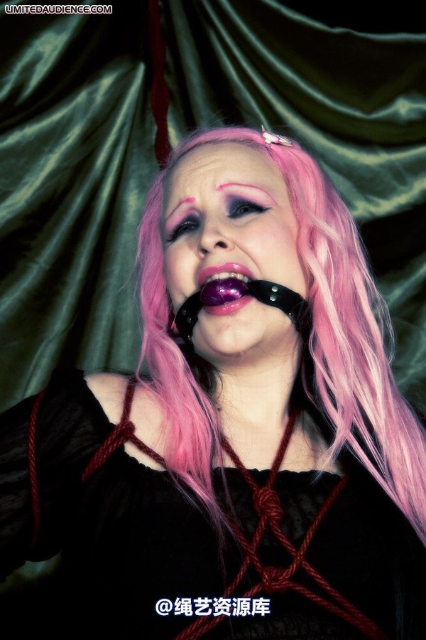 limitedaudience - 2009 assisted suicide profoundly entangled 2 第 15 张图片