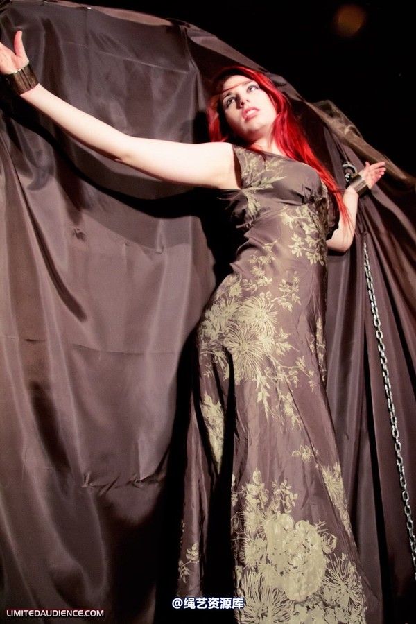 limitedaudience - 2011 ivory penance at home 第 10 张图片