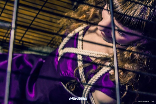 limitedaudience - 2014 fay inside the cage 2 第 7 张图片