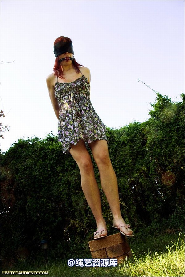 limitedaudience - 2008 scarlett blind balancing act 第 5 张图片