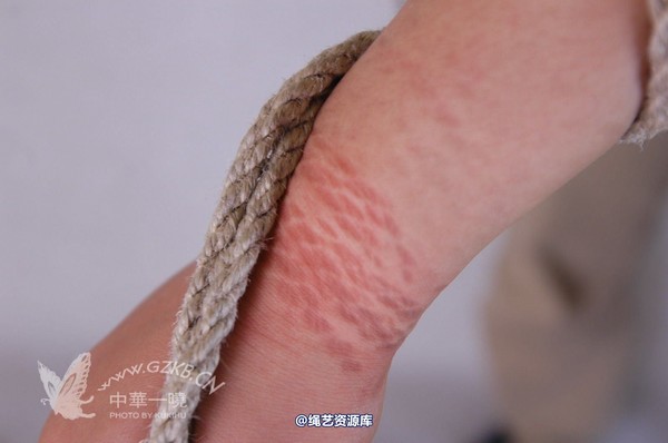 中华一晓 - 中华一晓 NO.0474 第 153 张图片