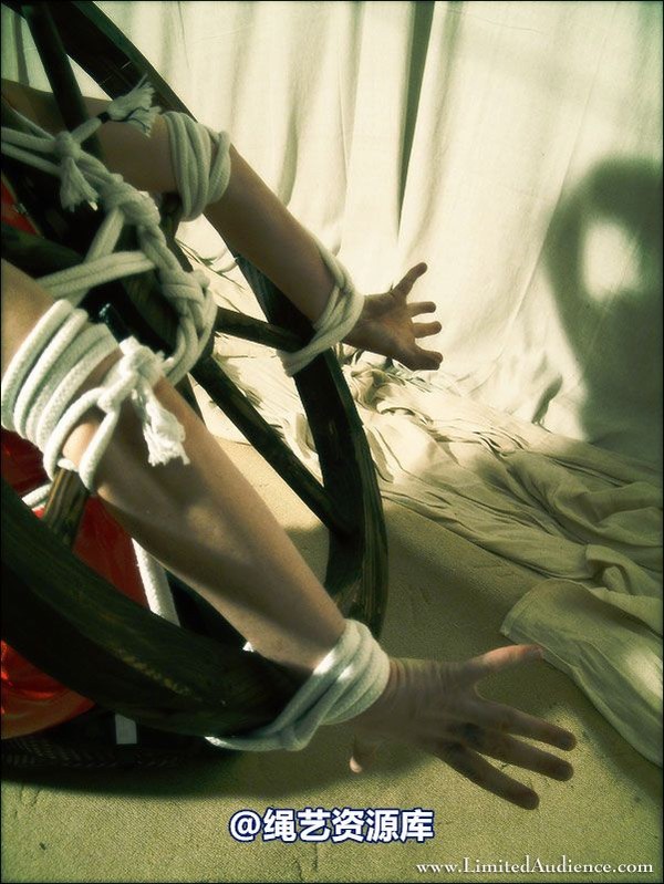 limitedaudience - 2007 elena tied to wheel 第 33 张图片