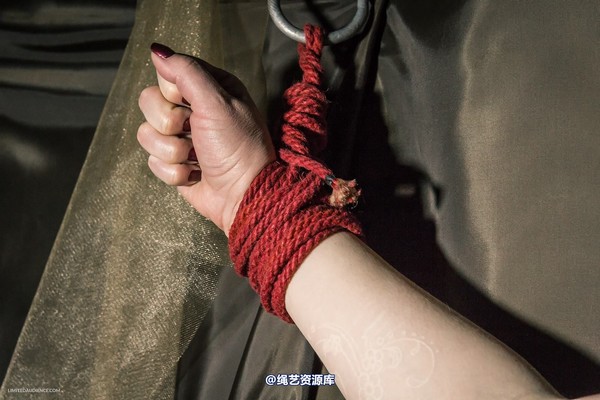 limitedaudience - 2015 caroline pierce bondage in bronze 2 第 15 张图片