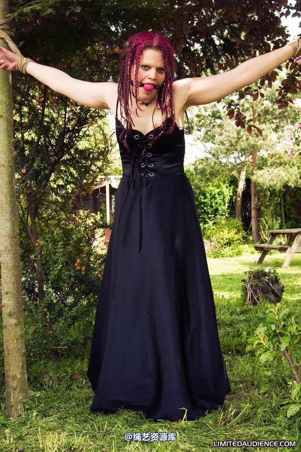 limitedaudience - 2010 beckykat between trees 第 6 张图片