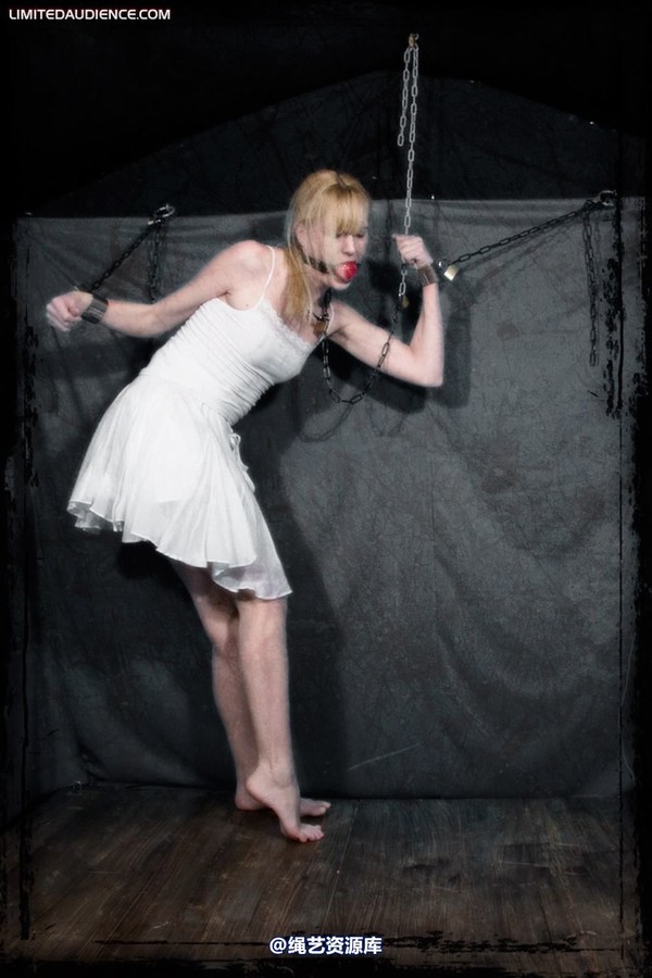 limitedaudience - 2010 ariel the forgotten prisoner 3 第 1 张图片