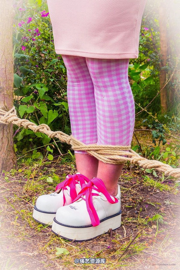 limitedaudience - 2015 kittysocks between trees 第 17 张图片