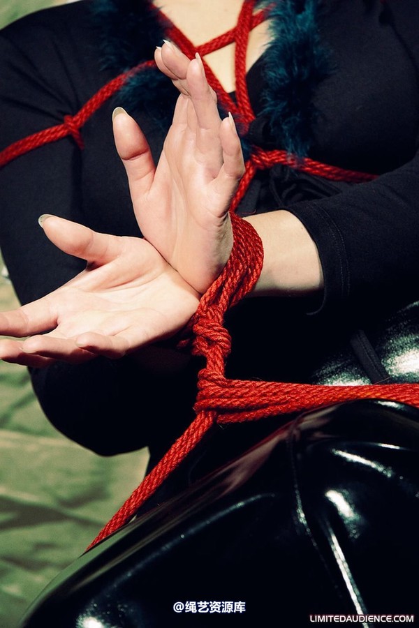 limitedaudience - 2010 deception helpless prisoner 2 第 22 张图片