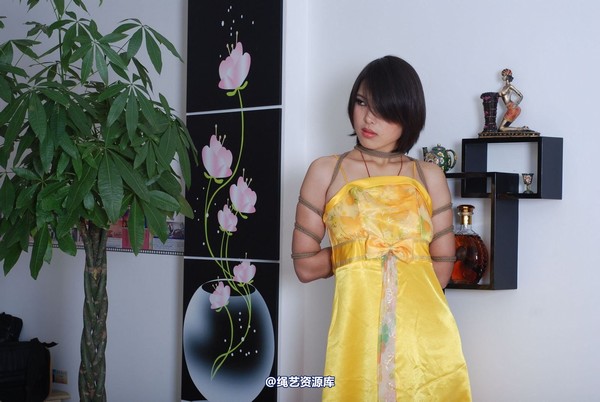 唯美之家 - 书兰-黄礼服 第 108 张图片