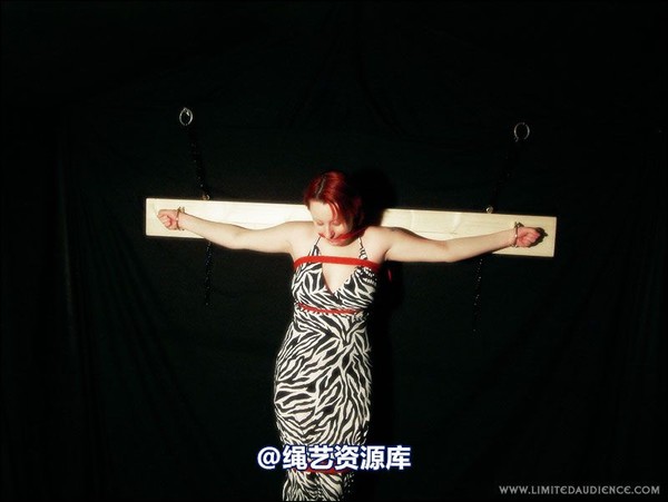 limitedaudience - 2007 erin chained animal 第 36 张图片