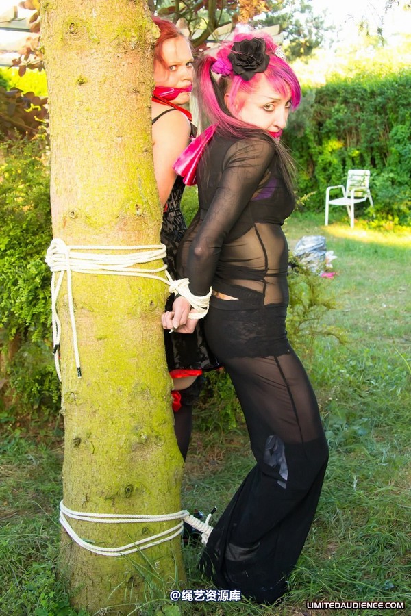 limitedaudience - 2011 beckykat loltaru moored to tree 第 20 张图片
