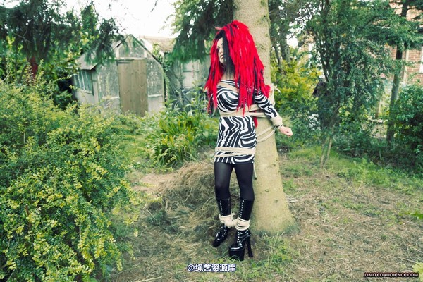 limitedaudience - 2012 andromedax bound to a tree 2 第 17 张图片