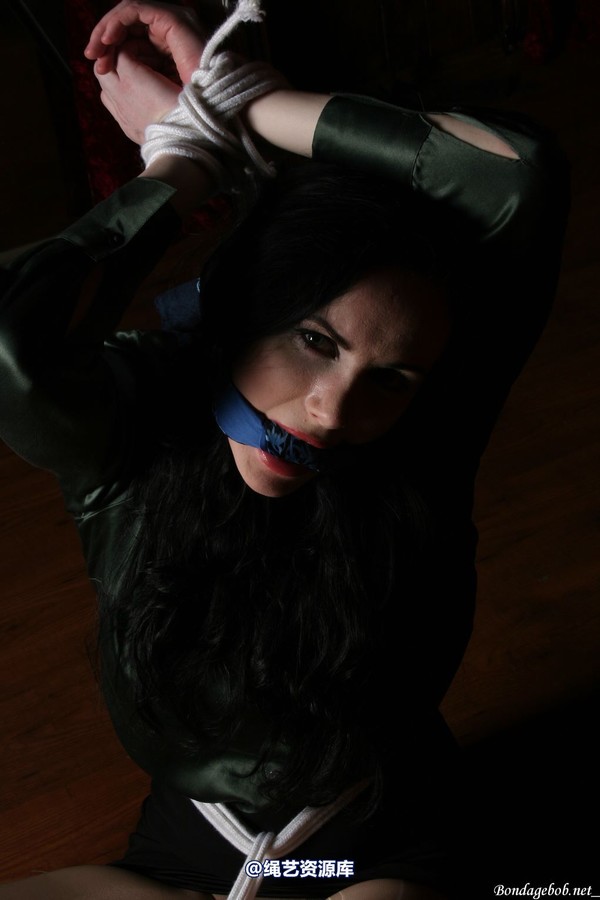 bondagebob - Morrigan Lets have a pole 第 71 张图片