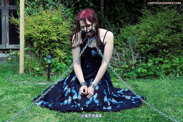 limitedaudience - 2010 beckykat chained and staked 第 35 张图片