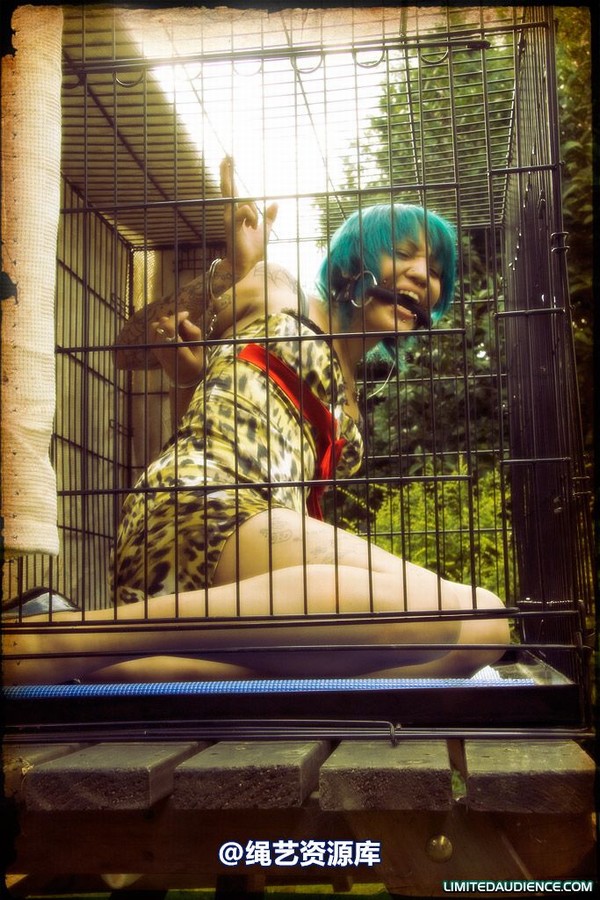 limitedaudience - 2009 b caged animal 第 33 张图片