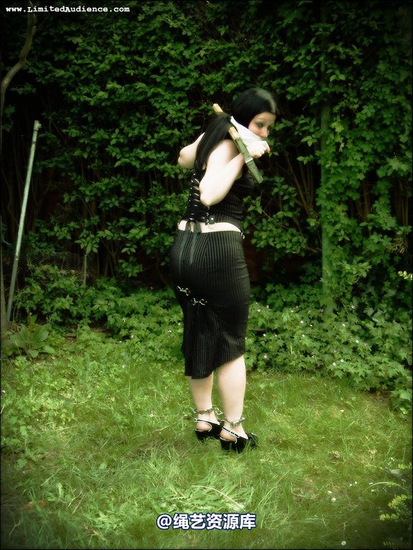 limitedaudience - 2007 asphyxia silenced secretary 第 35 张图片