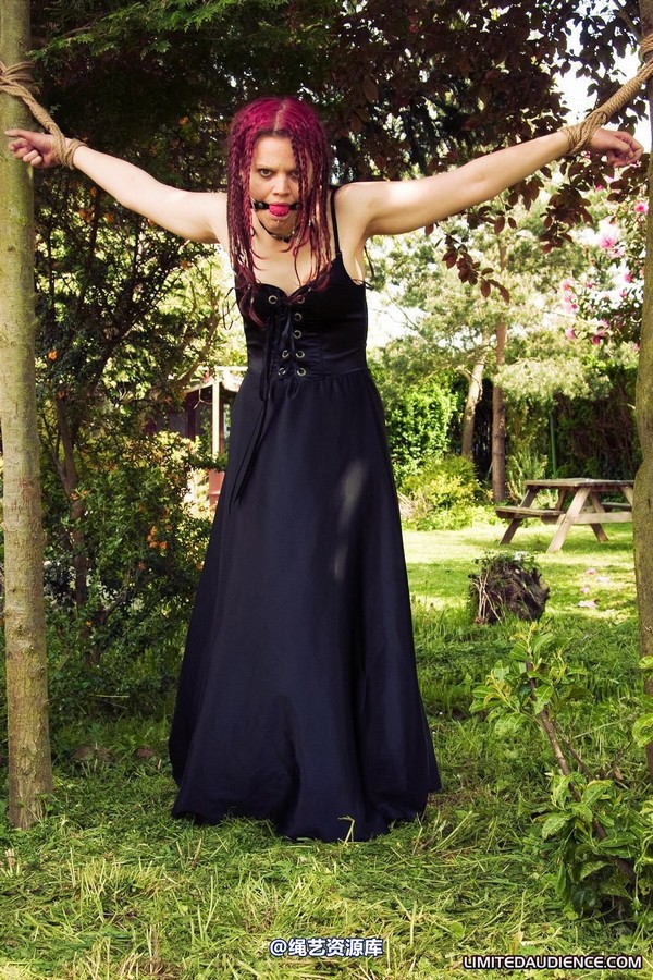 limitedaudience - 2010 beckykat between trees 第 5 张图片