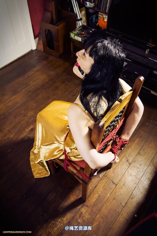 limitedaudience - 2013 dynamo golden satin 第 38 张图片