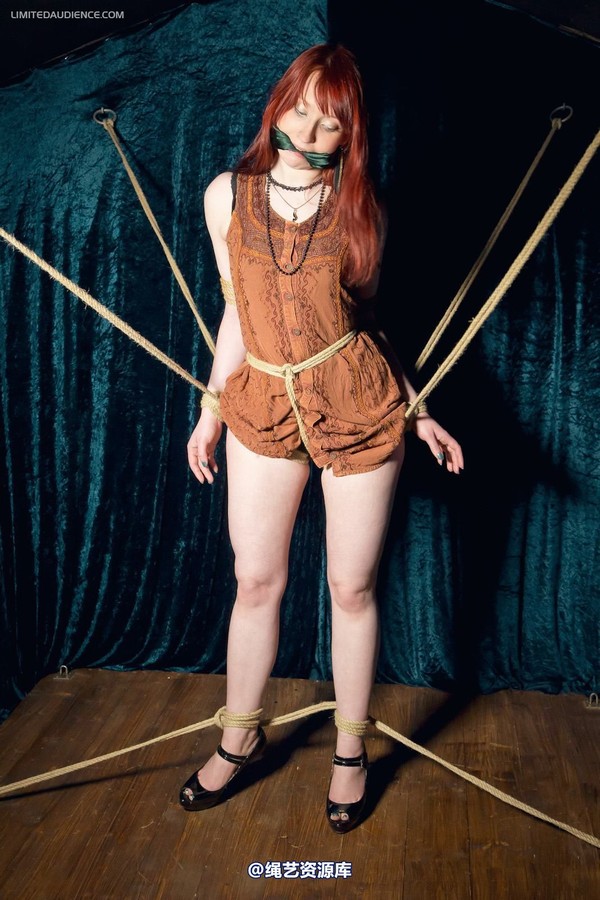 limitedaudience - 2012 syrah lee rope web 第 28 张图片