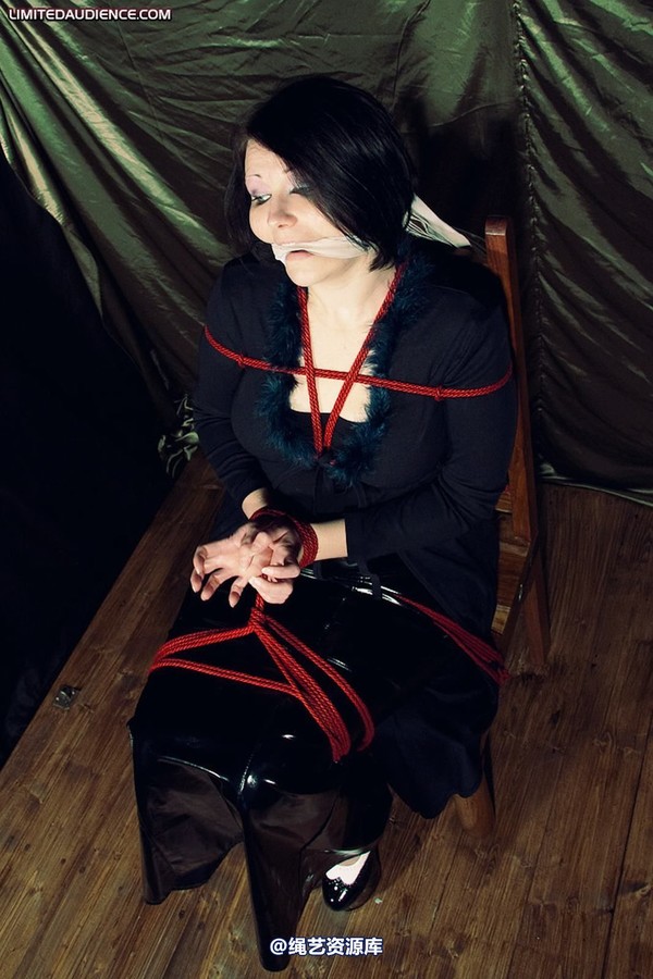 limitedaudience - 2010 deception helpless prisoner 2 第 30 张图片