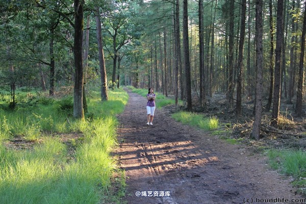 boundlife - bl247 第 4 张图片