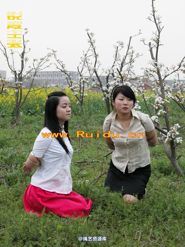 锐度主张 - 婷婷和寒冰梨花林中 第 66 张图片