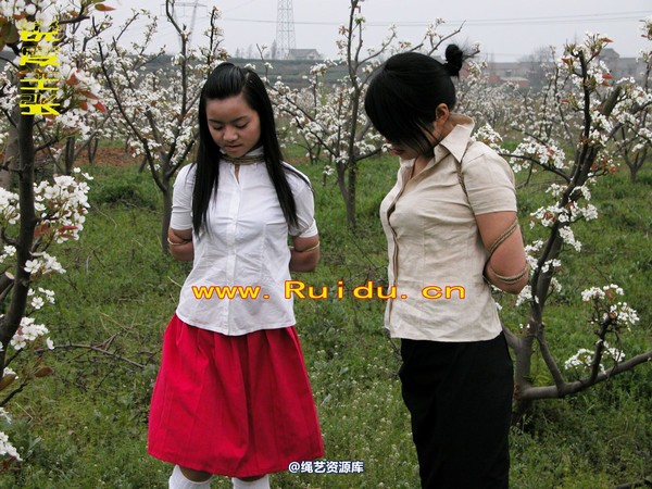 锐度主张 - 婷婷和寒冰梨花林中 第 78 张图片