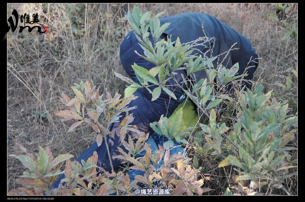 唯美之家 - 2008-11-27萧雅 第 247 张图片