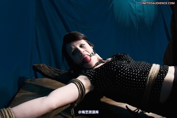 limitedaudience - 2011 luisa helpless to resist 2 第 5 张图片