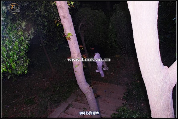 千丝万缕 - 2008-04-21日照片 第 52 张图片