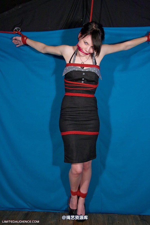 limitedaudience - 2010 luisa tied to the wall 第 14 张图片