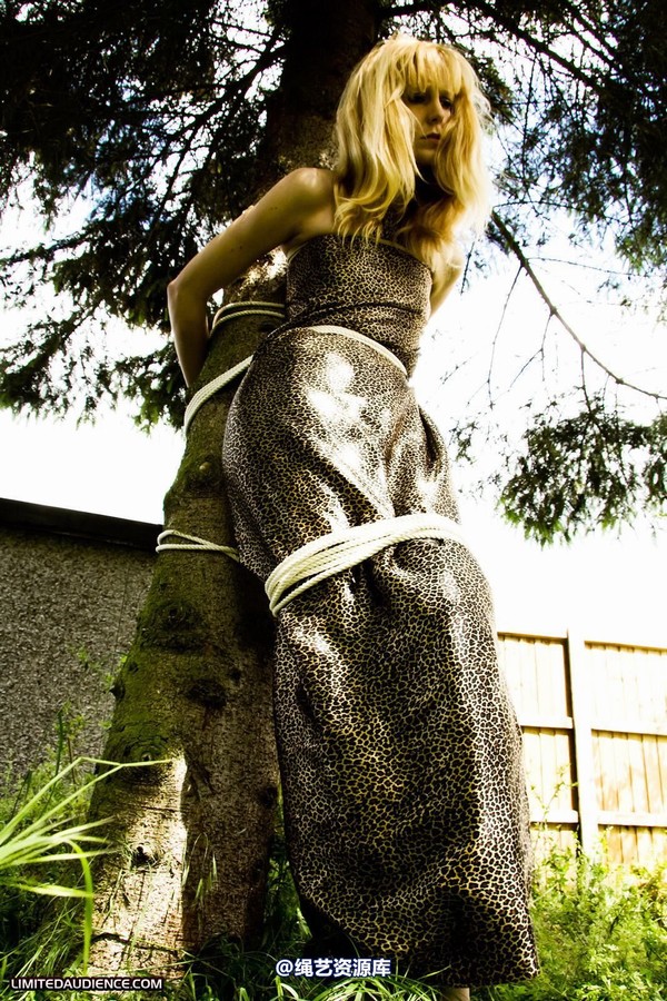 limitedaudience - 2011 ariel tied to a tree 第 36 张图片