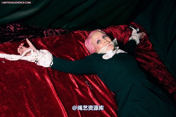 limitedaudience - 2009 assisted suicide internet date 第 3 张图片
