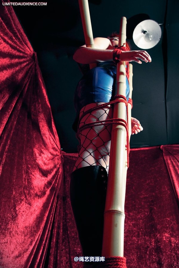 limitedaudience - 2009 ivory bamboo torment 第 9 张图片