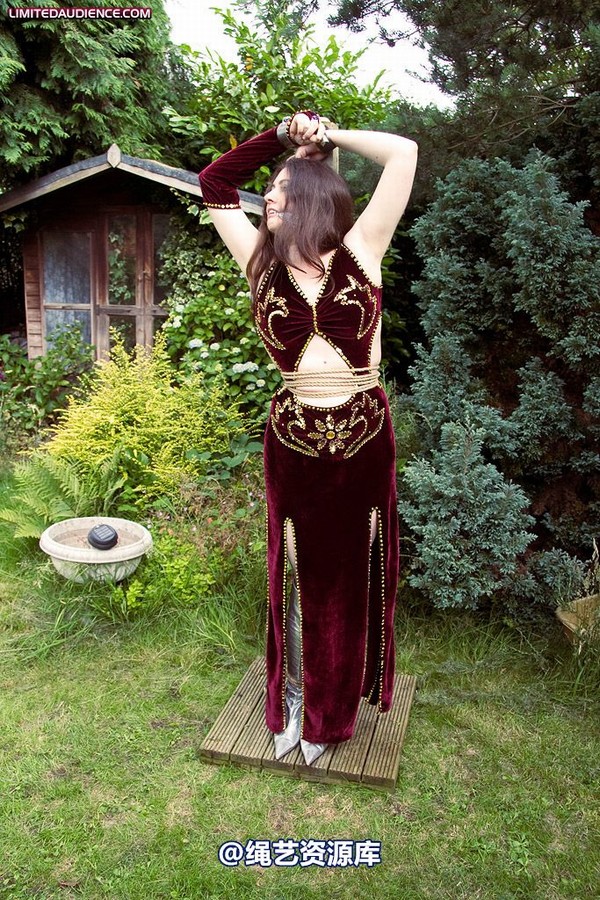 limitedaudience - 2009 catya picnic interrupted stake 2 第 1 张图片