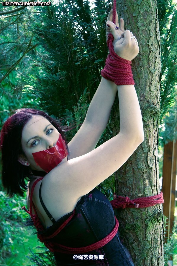 limitedaudience - 2011 carmina and the tree 2 第 12 张图片