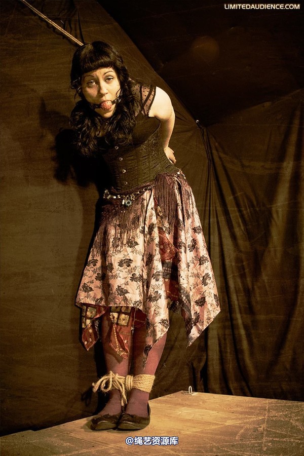 limitedaudience - 2009 veriddian apocalypse captive 第 11 张图片