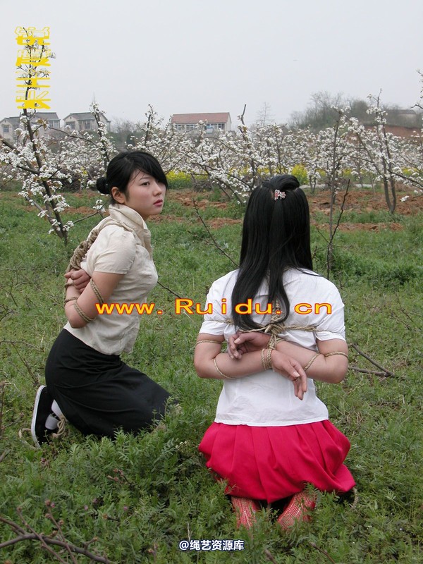 锐度主张 - 婷婷和寒冰梨花林中 第 51 张图片