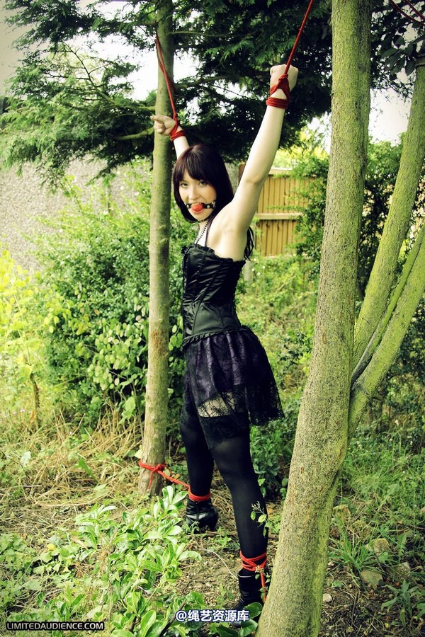 limitedaudience - 2011 syrah lee helpless outdoors 第 14 张图片