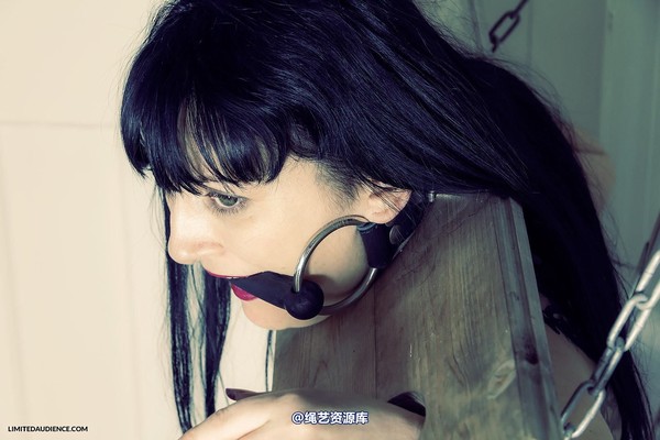 limitedaudience - 2013 dynamo stock 第 9 张图片