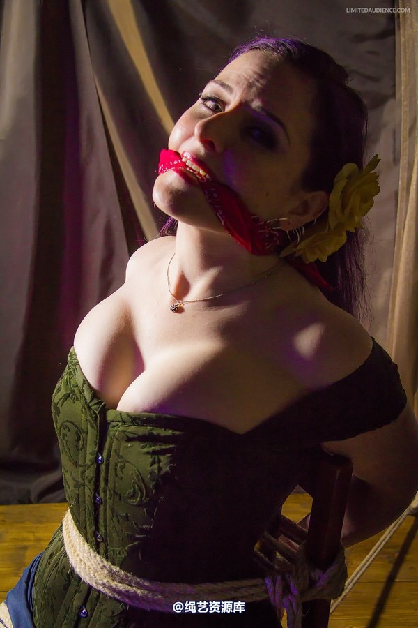 limitedaudience - 2014 caroline pierce captured damsel 2 第 24 张图片