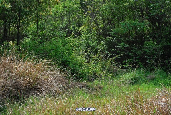 唯美之家 - 外拍 第 105 张图片