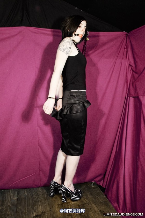 limitedaudience - 2010 jenvy display model 第 1 张图片