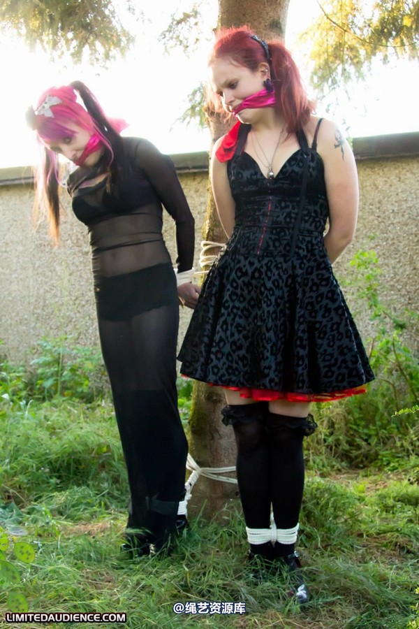 limitedaudience - 2011 beckykat loltaru moored to tree 2 第 23 张图片